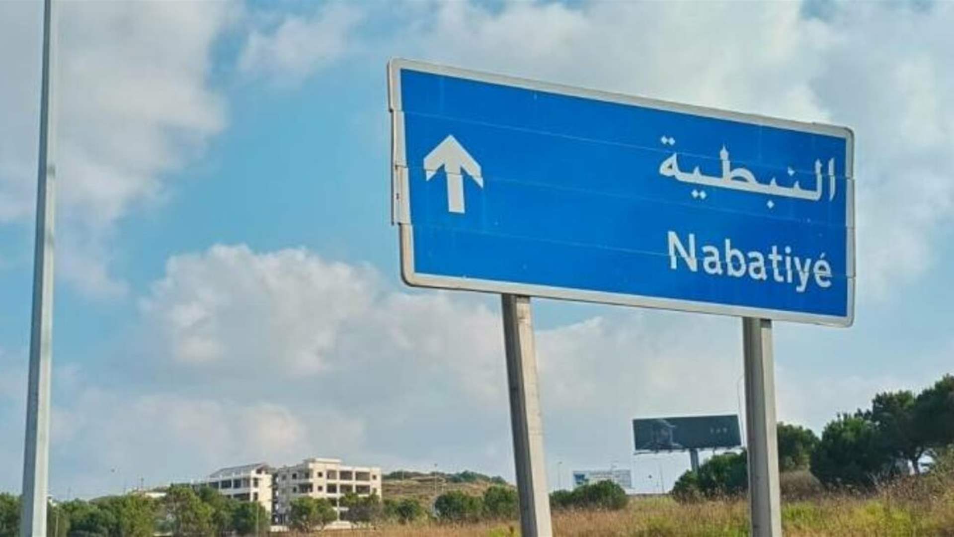 A call from Nabatieh: Stop the destruction of the city and declare it an open area