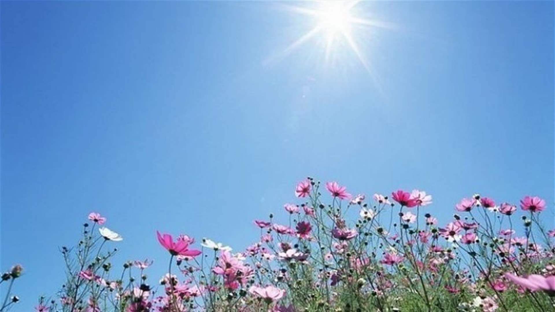 كيف سيكون الطقس في الأيام المقبلة؟