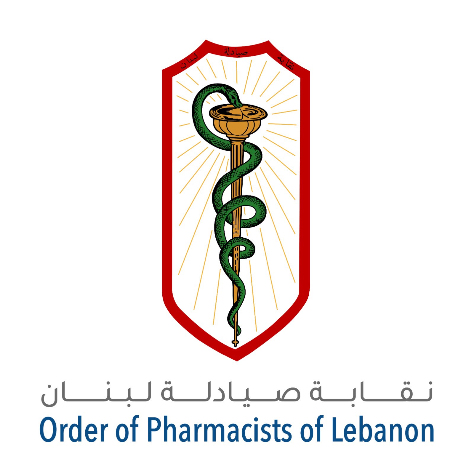 نقابة صيادلة لبنان: لا علاقة للنقابة بأي معلومات أو مواقف منسوبة إليها بشأن أدوية السرطان!