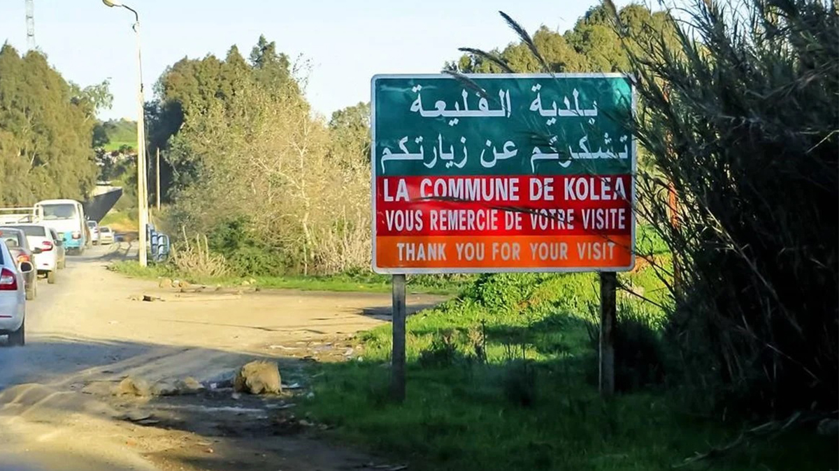 للإبلاغ الفوري.... التصوري ممنوع في القليعة