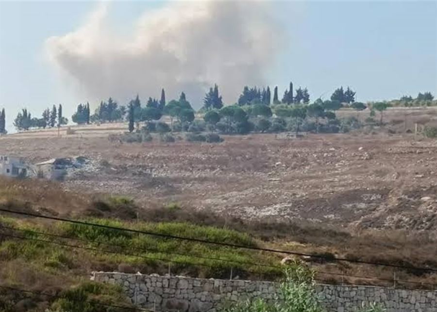حزب الله:  إبادة بيئية بالجنوب..  والسلطة متقاعسة