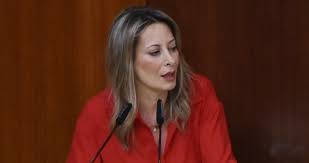 ايوب:  الهجوم على mtv محاولة مفضوحة لإسكات كل من يفضح واقع السلاح