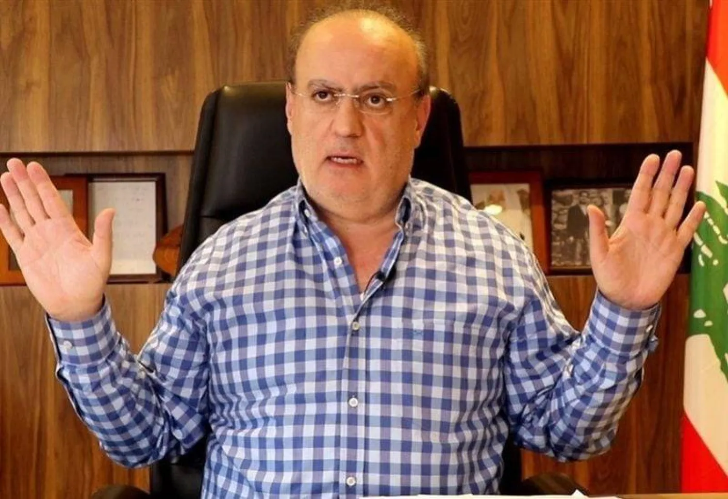 بعد قرار إعدام الأسد... وهاب: فاصل للضحك
