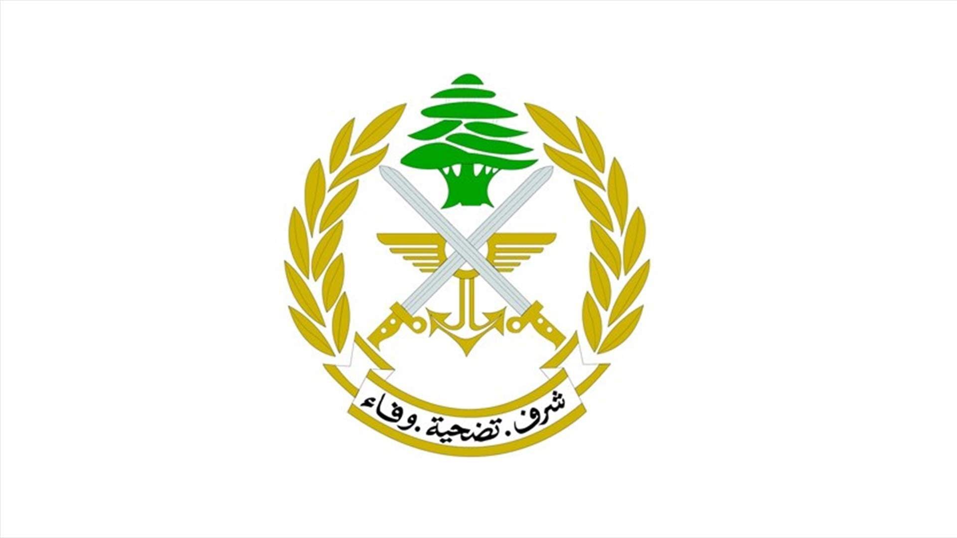 بعد اتهامات أميركية... الجيش: ولاء العسكريين للمؤسسة والوطن فقط